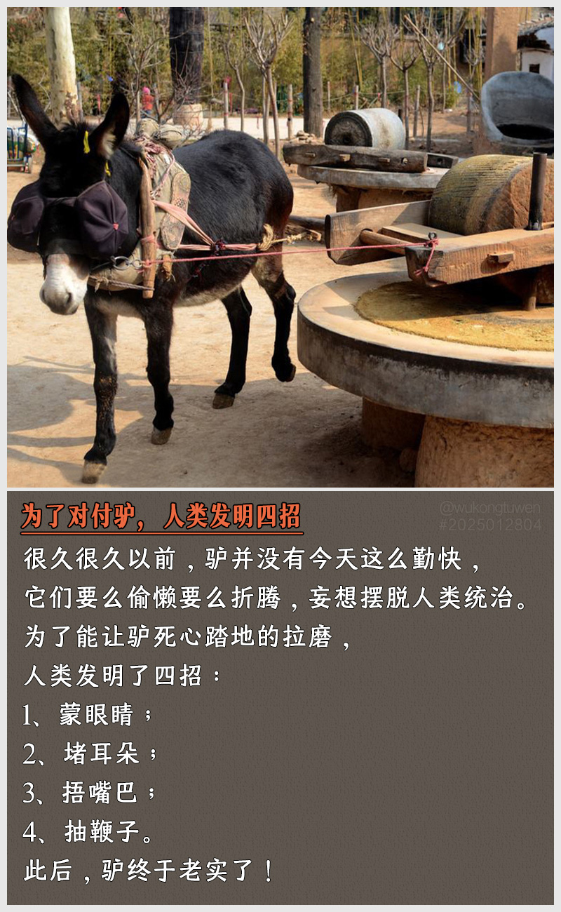 https://i.postimg.cc/KxW3H90m/2025012804.jpg