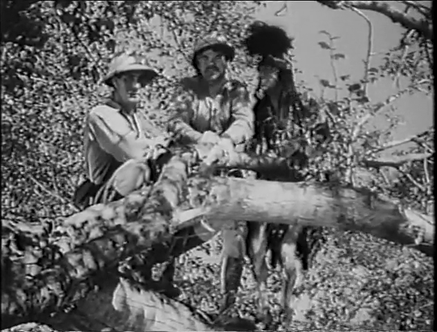 [Image: wm66h6smrbs6.png]