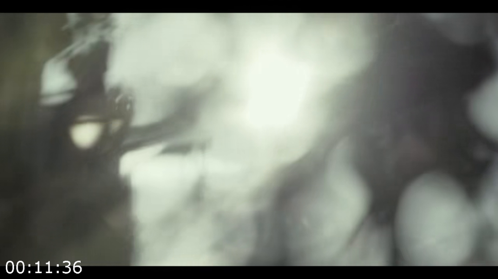 8mmlsgm53sj6.png