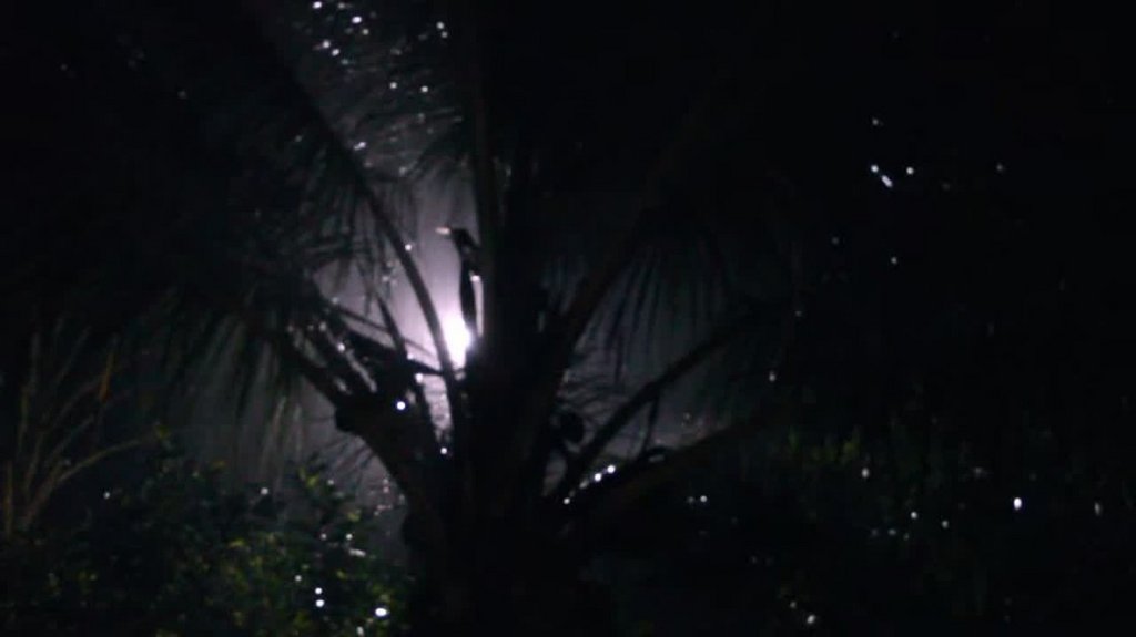 [Image: 53pzj3k0ijpu.jpg]