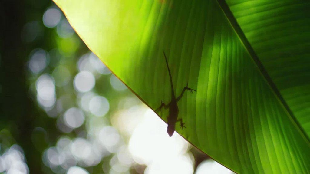 [Image: vzk1y8c16nvm.jpg]