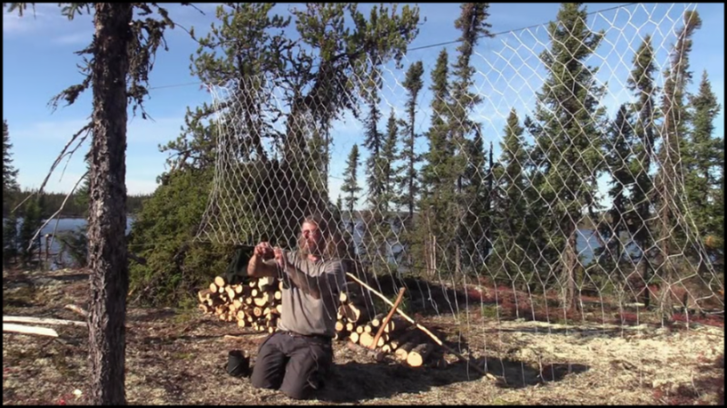 [Image: bqo22qty9rj4.png]