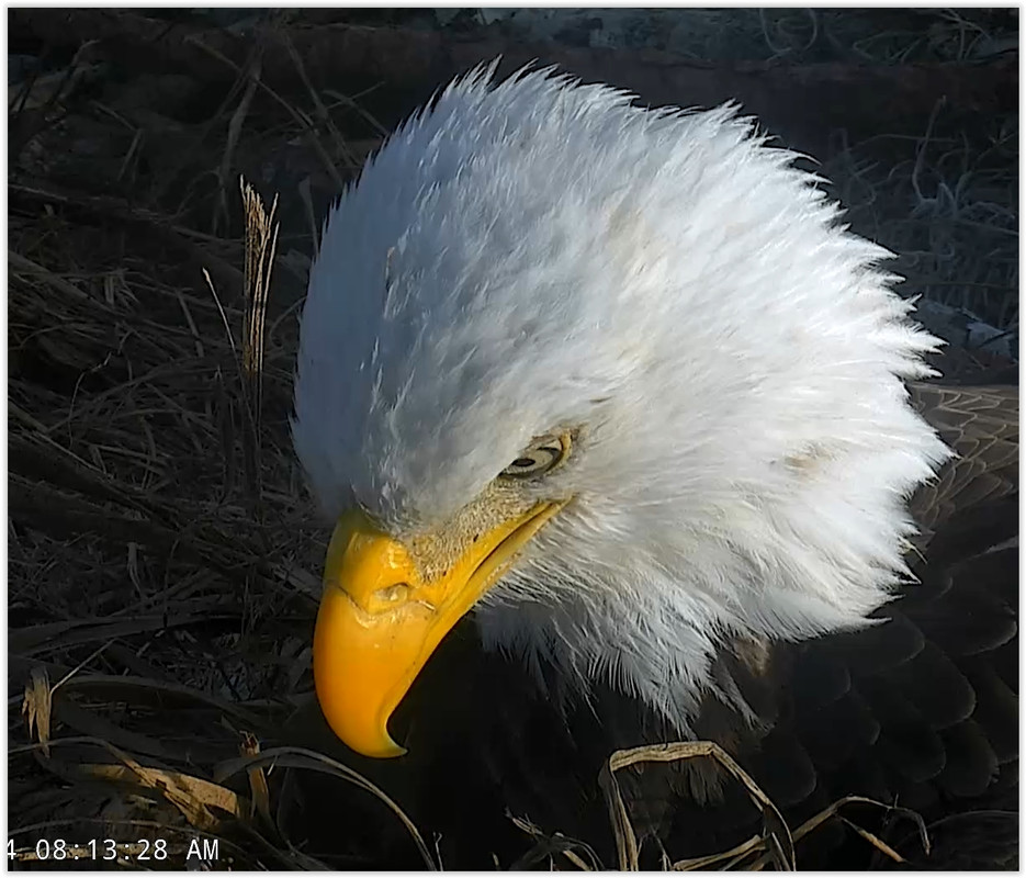 Screen Shot 01-24-20 at 02.14 PM 001