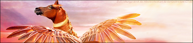 EVS-Sunset-Chaser-BANNER-CREDITED.png