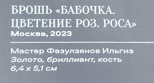 https://i.postimg.cc/Kz0SfVQ5/375-IMG-20241031-115155.jpg