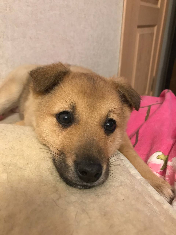 D711E5F8-6930-45C4-AA6B-0114010A7B3A