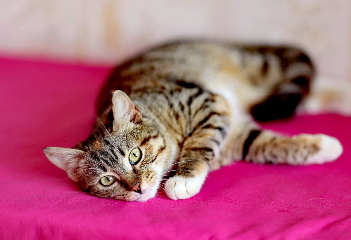 Изображение WhatsApp 2024-08-05 в 12.23.41_644e7ce7