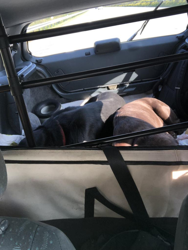 69A0D716-EECD-464D-AA3B-EF3A98662F1E