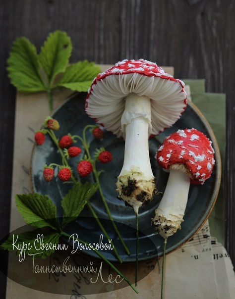 Таинственный лес (Евгения Волосова)