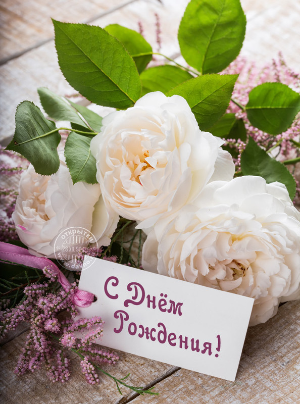 https://i.postimg.cc/Kz1V5C15/birthday-243.jpg