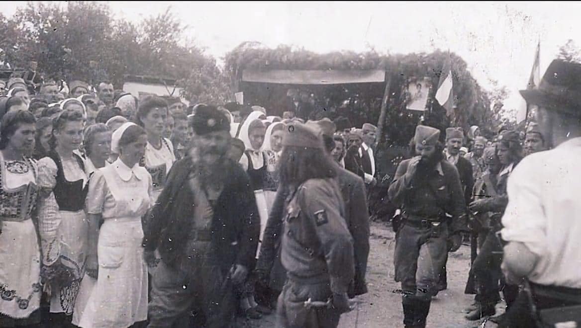 [Слика: 364768099-631385205753543-8796561278460345708-n.jpg]