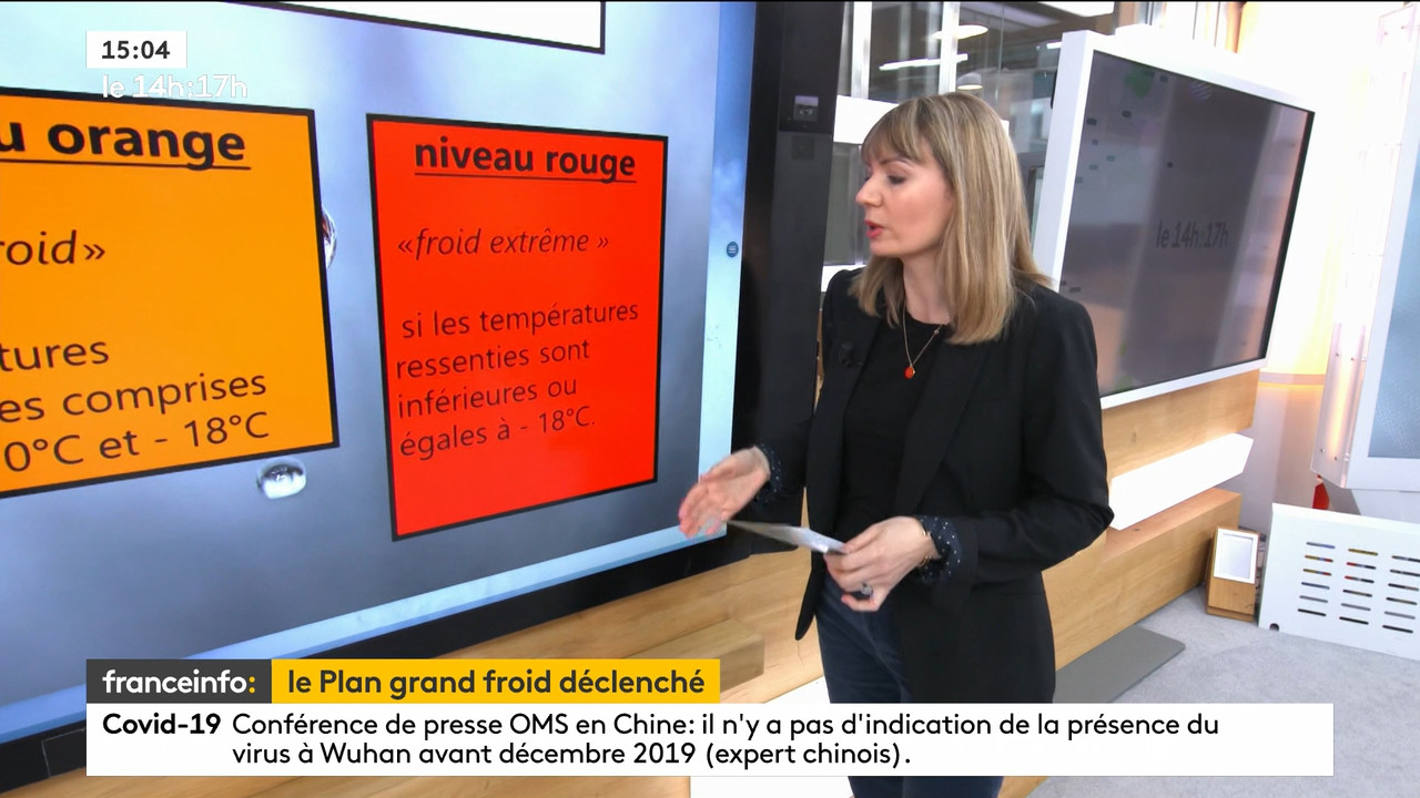 02.09 - 12.59.00 - Le 14h-17h. Au sommaire   Vrai ou fake. - francein..._001.ts_snapshot_00.14.379