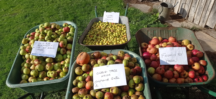 2022-12-02-155828_711x328_scrot