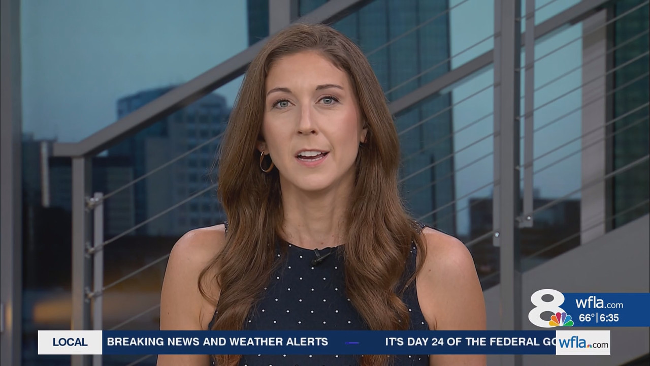 News Channel 8 Today at 6a 20251024 11001200 ts snapshot 00 36 33 875