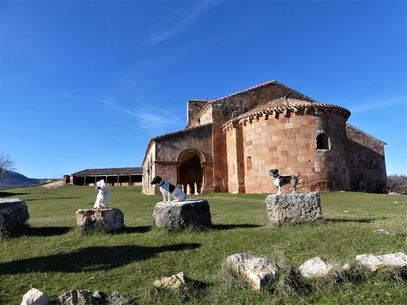 YACIMIENTO ARQUEOLOGICO DE TIERMES-16-2-2020 - Soria y sus pueblos-2010/2013/2020 (11)