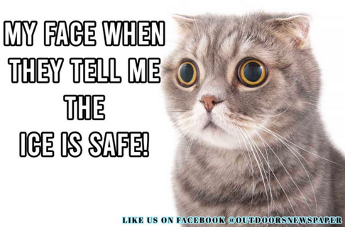 Screen Shot 2023-01-08 at 9.21.20 AM