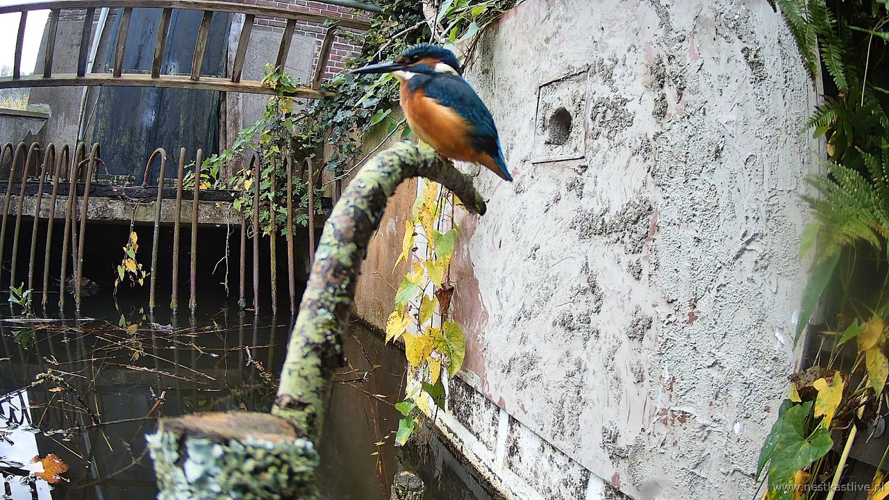 snapshot - 2025-10-08T093531.903