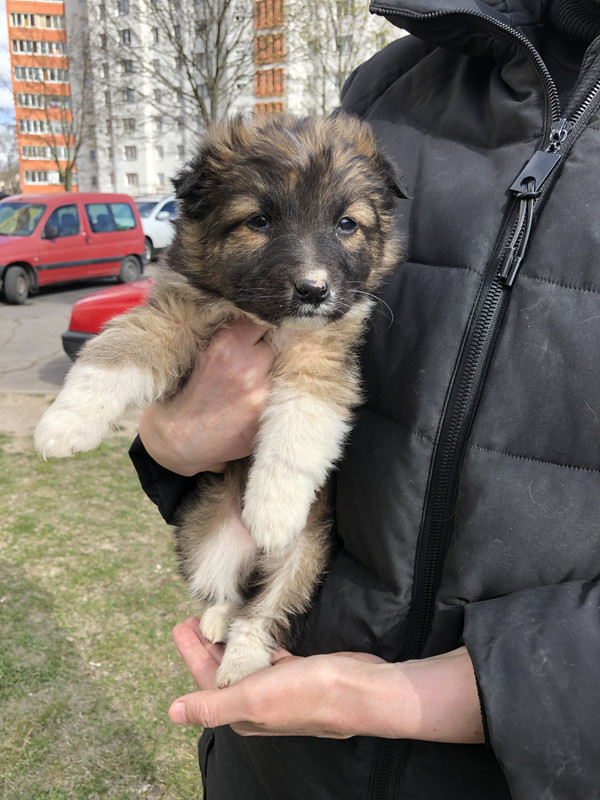 EDCB98AE-7435-4314-AE5F-E769C0D5B972