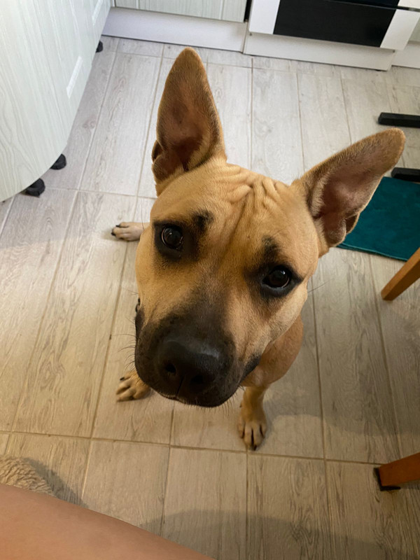 73A6072C-3D02-45A0-BB49-EA94D742CCCE