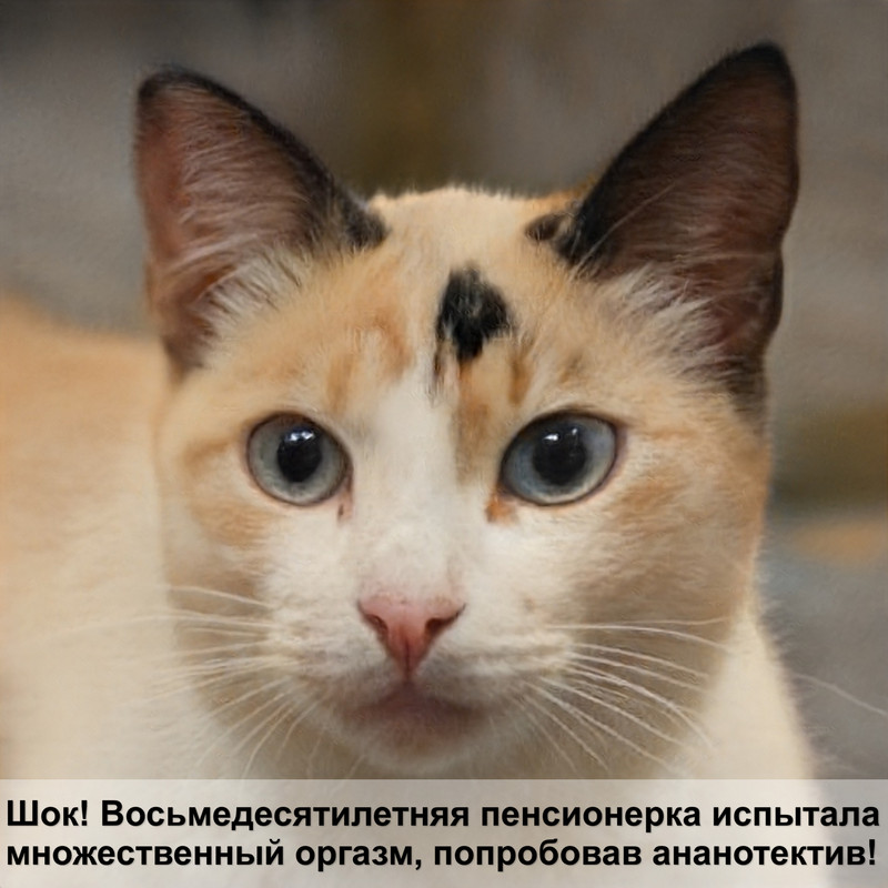 маленькие кошки которые не растут