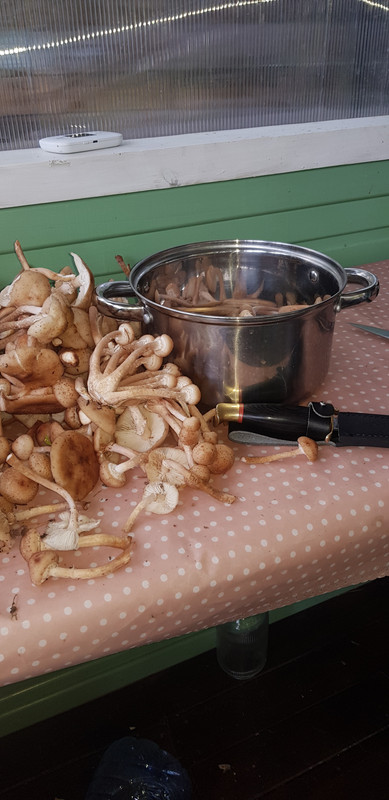 16936465000684892268757470498448