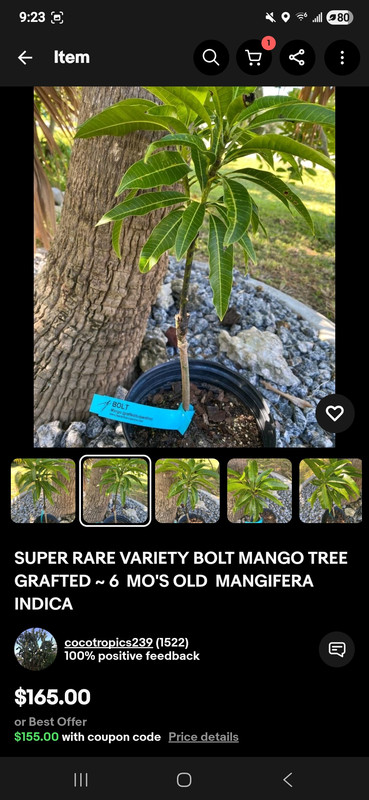 Screenshot 20251104 092312 e Bay