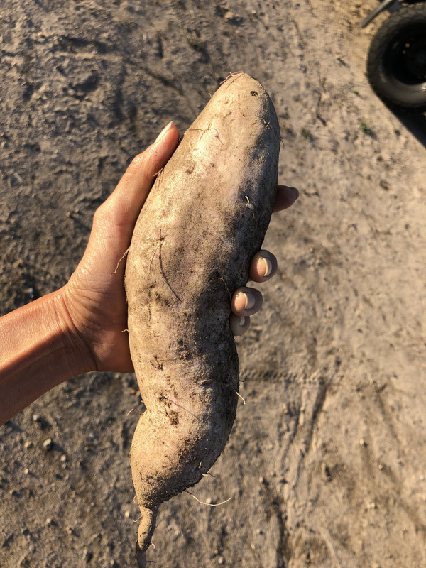 C4CCFF22-D041-4F08-976F-FB60C8649350