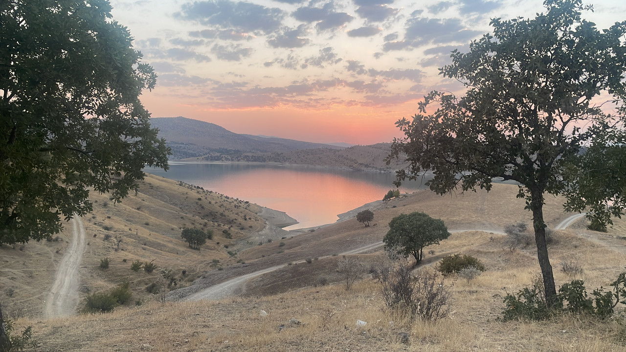 9DA8667B-4A7E-456F-98B5-999387954585