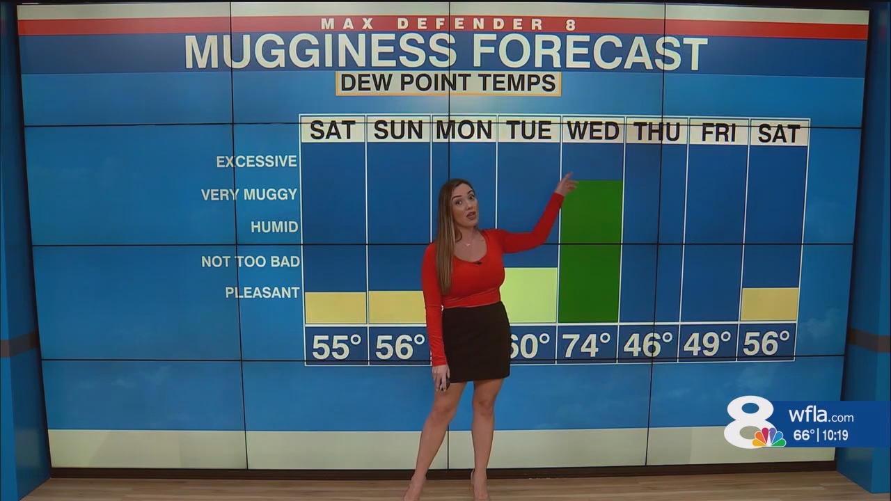 NewsChannel 8 News at 1000pm_20241116_03000330.ts_snapshot_20.42.428