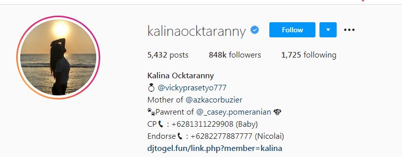 Instagram Kalina Ocktaranny