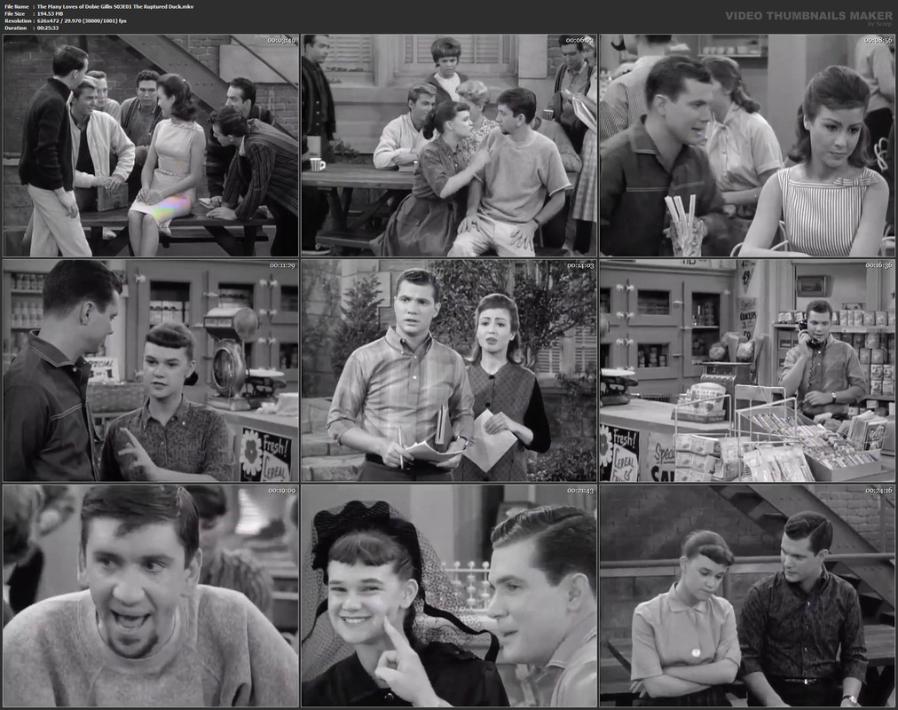 The Many Loves of Dobie Gillis S03E01 The Ruptured Duck.mkv