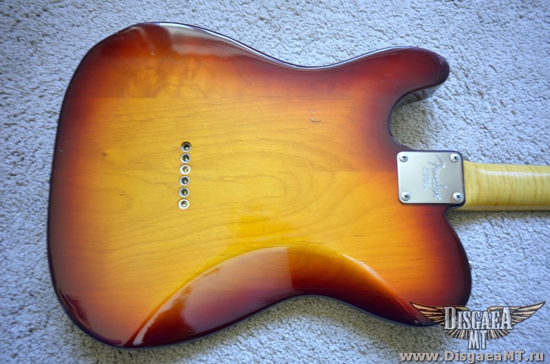 Fender_Telecaster_Fotoflame_60s_RI_cbck_019