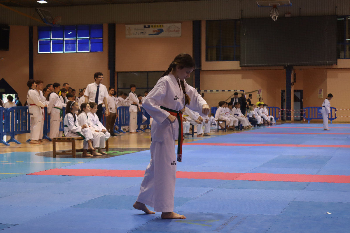 IMG-8541