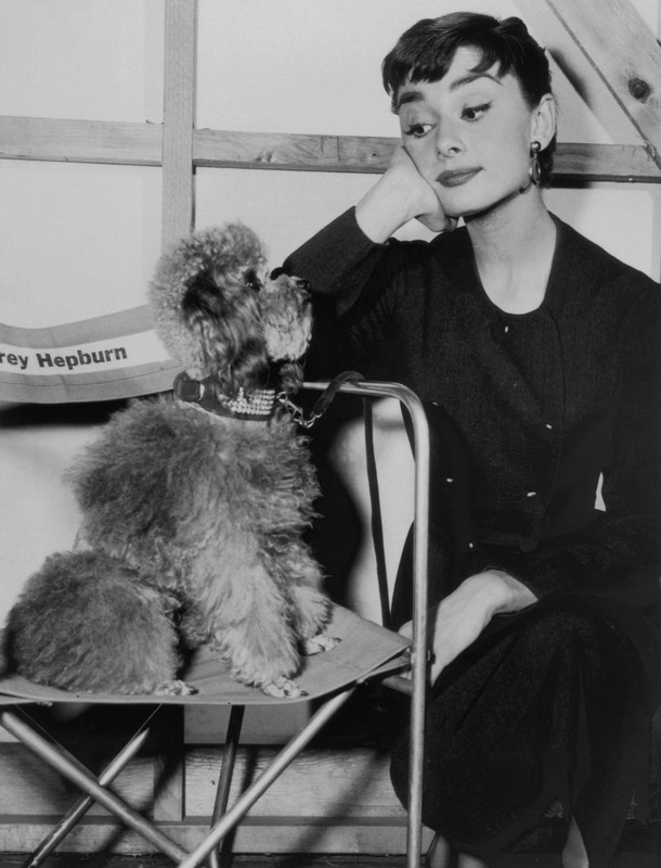 audrey-hepburn-1960-poodle.jpg