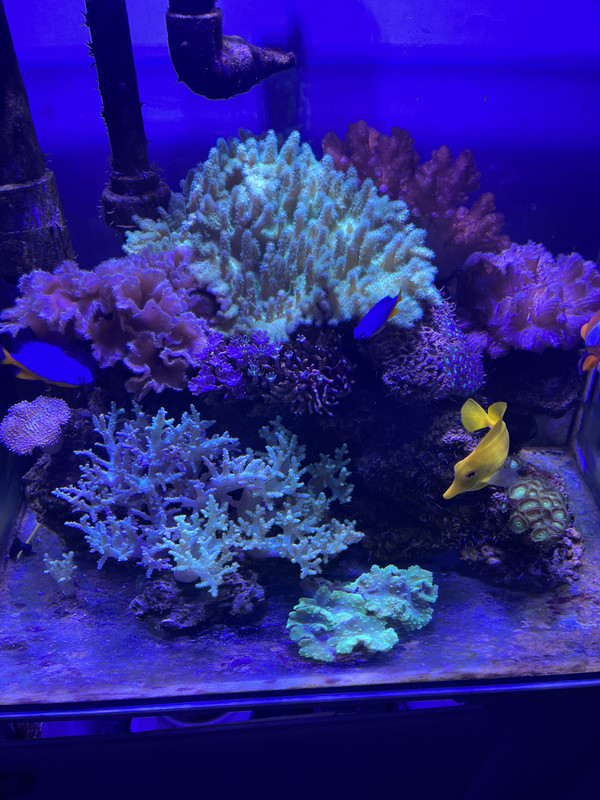 29922059-3846-47AC-8EB6-D065409B384E