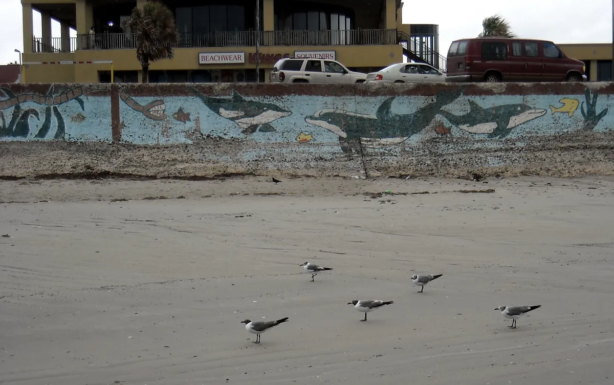 1-DFD5669-83-D6-4369-BB93-39-C5-DAE729-D