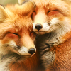 cuddle3