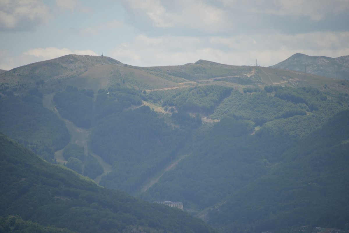DSC-9319.jpg