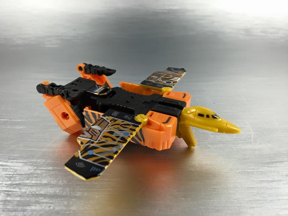 13450730_876044969189576_4821469249762831057_n