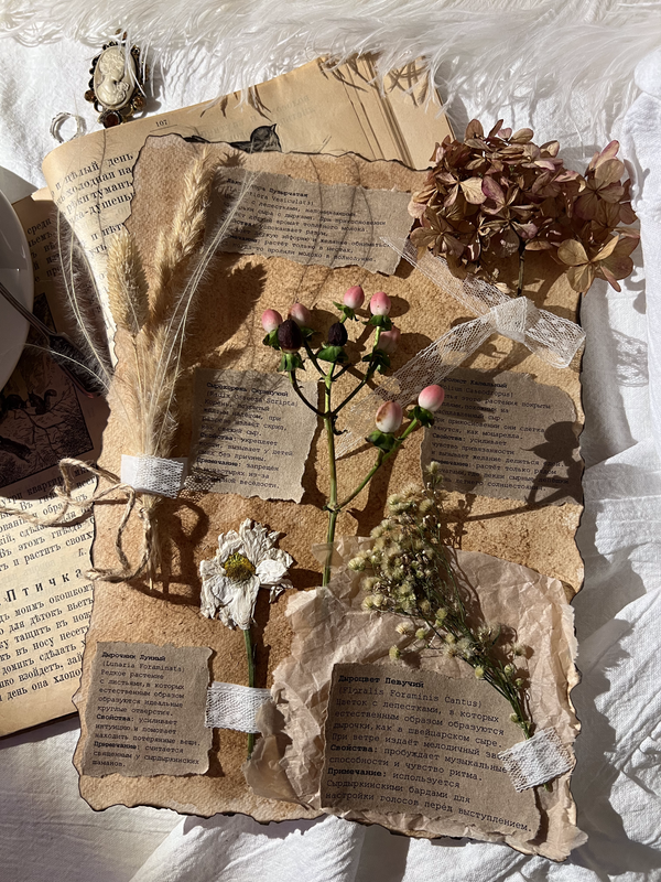 доп.гербари2