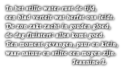 cooltext499806402281029