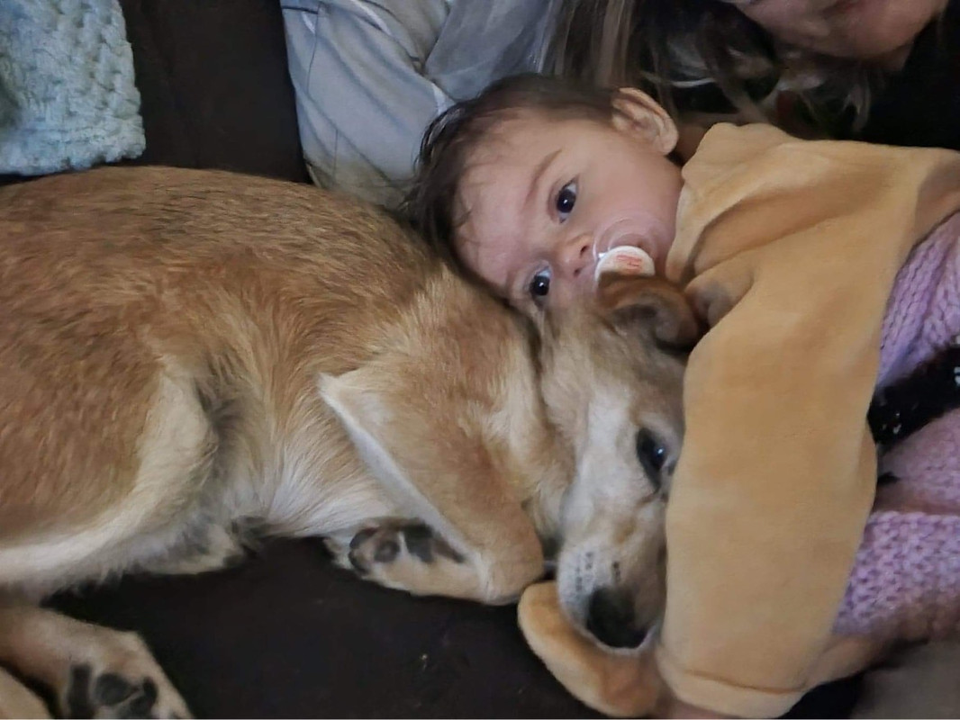 [Image: 2-DF18392-1-A8-C-4488-9399-00-DAB755142-B.jpg]