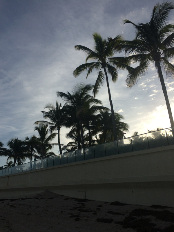 Eric Painter Sugar Land (10)