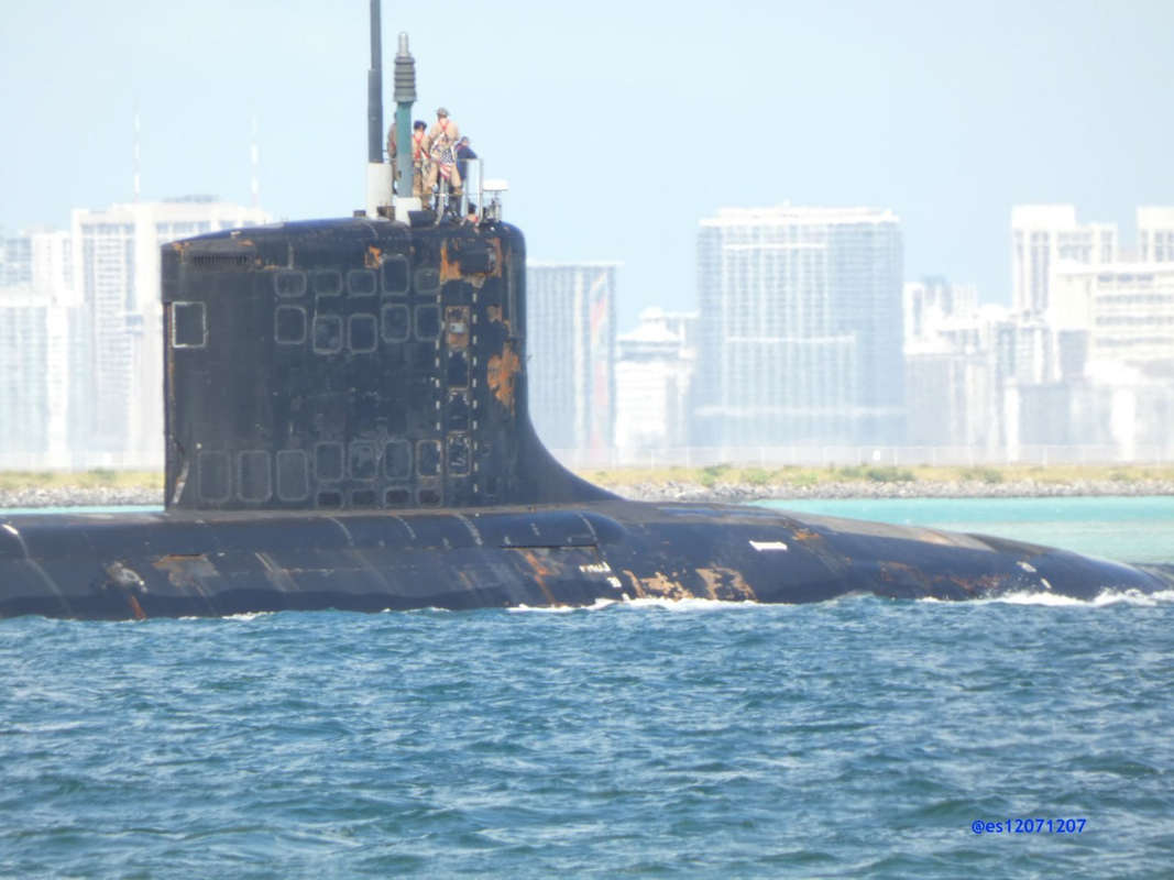 изображение_2024-06-22_205907439