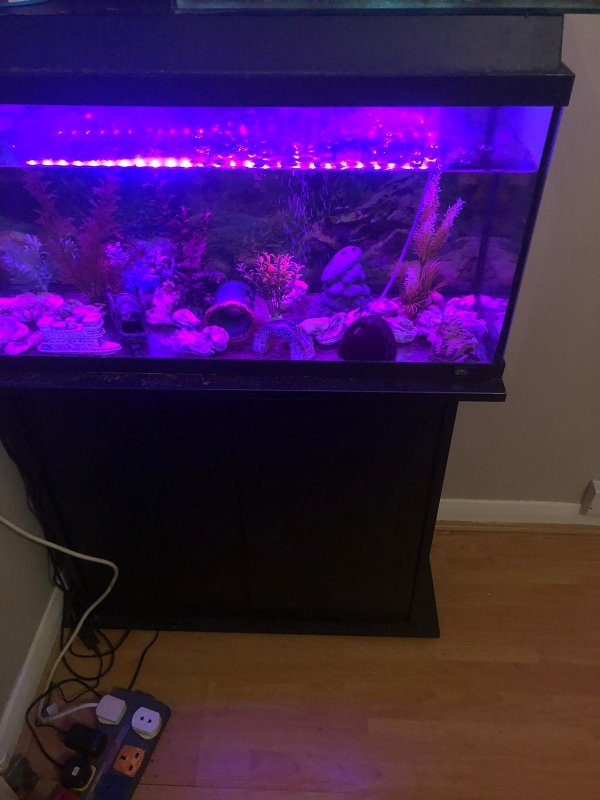 FBF75053-B348-42EB-A3C7-3B633CA0F01B