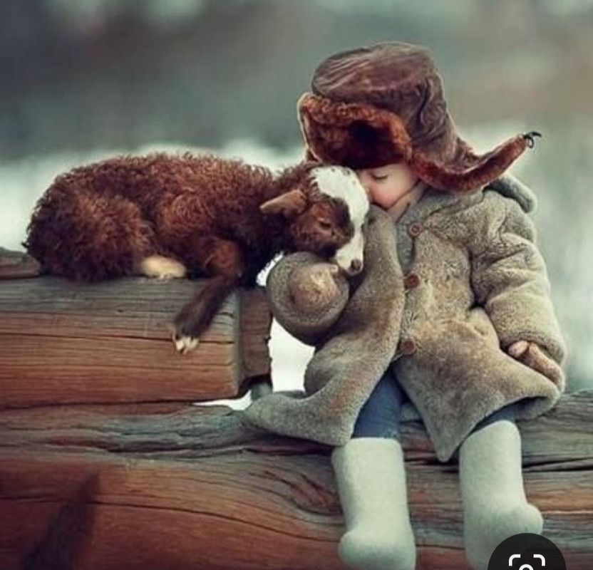 Screenshot_20231030_202509_Pinterest