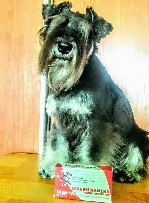 50695564_2110420199038259_4208420084328169472_n (1)