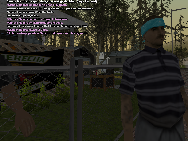 SSRoleplay1271.png