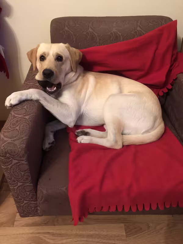 D2BBE8E0-D8D1-4E9A-9F60-DD0094279D19