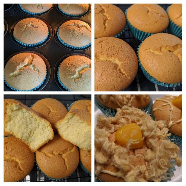 [Image: 20190910-200637-COLLAGE.jpg]